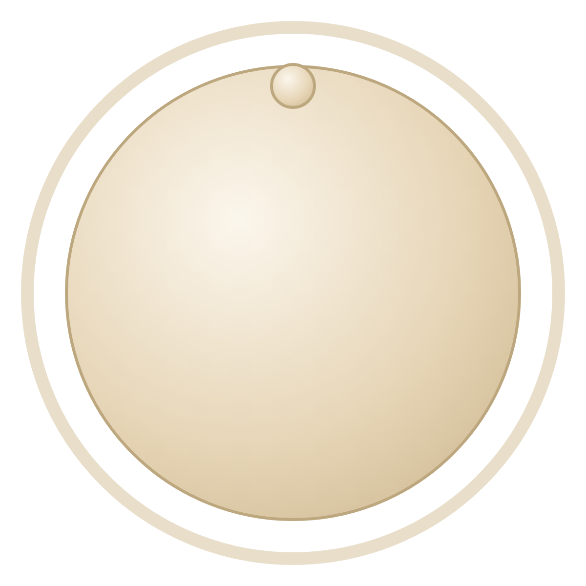 Oocyte — Day 0